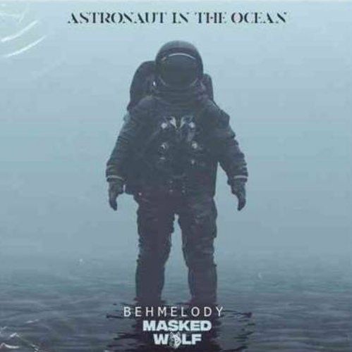 ماسکت ولف Astronaut In The Ocean